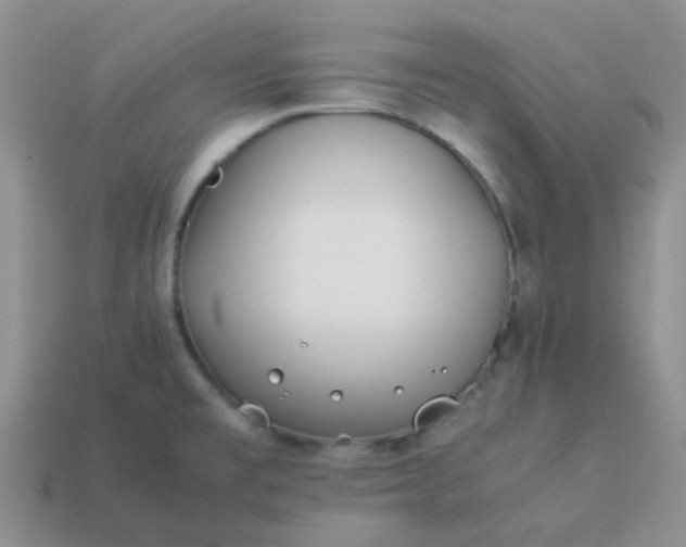 X0000114141477200910221515