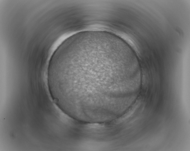 X0000114141478200910221515