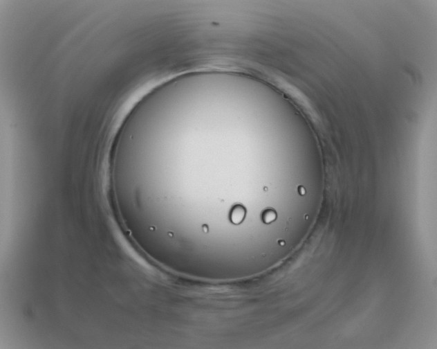 X0000114141479200910221515