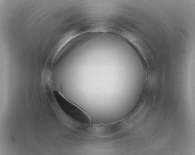 X0000114141481200910221515