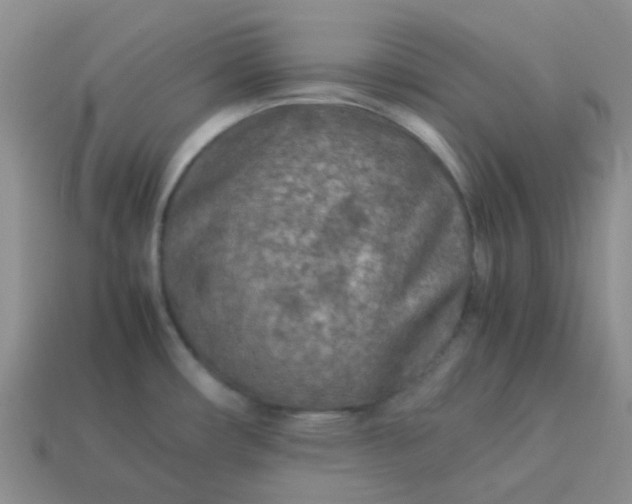 X0000114141482200910221515