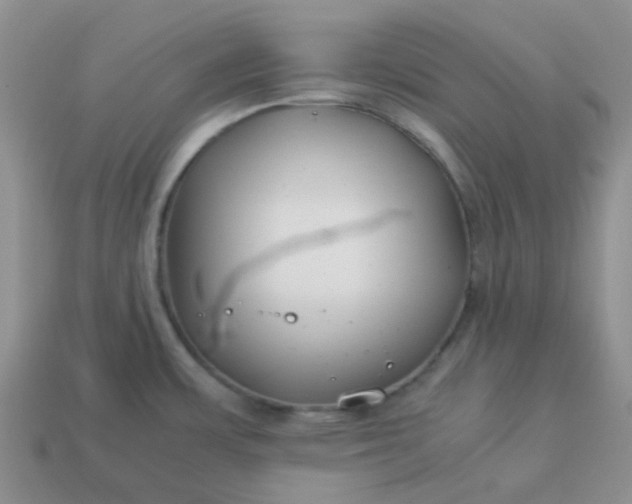 X0000114141483200910221515