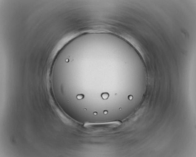 X0000114141485200910221515