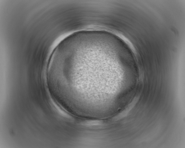 X0000114141486200910221514