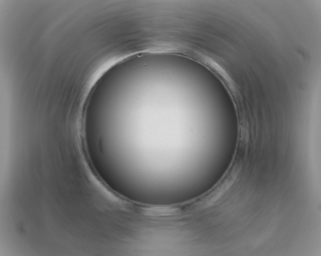 X0000114141487200910221514