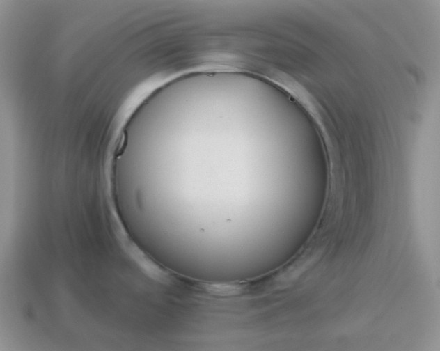 X0000114141488200910221514