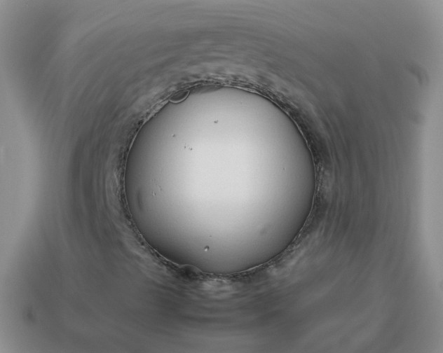 X0000114141489200910221514