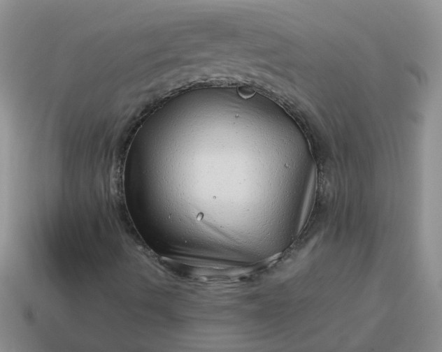 X0000114141490200910221514