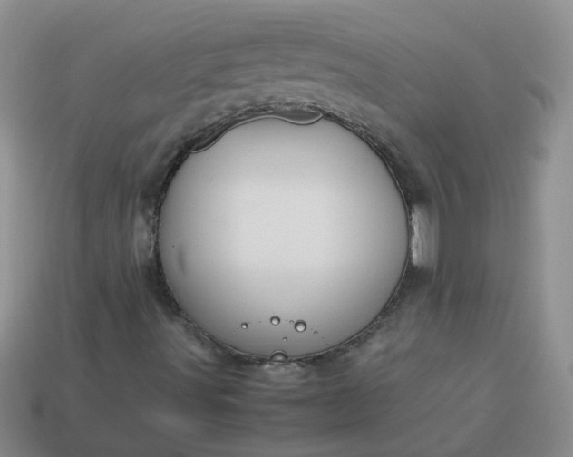 X0000114141491200910221514