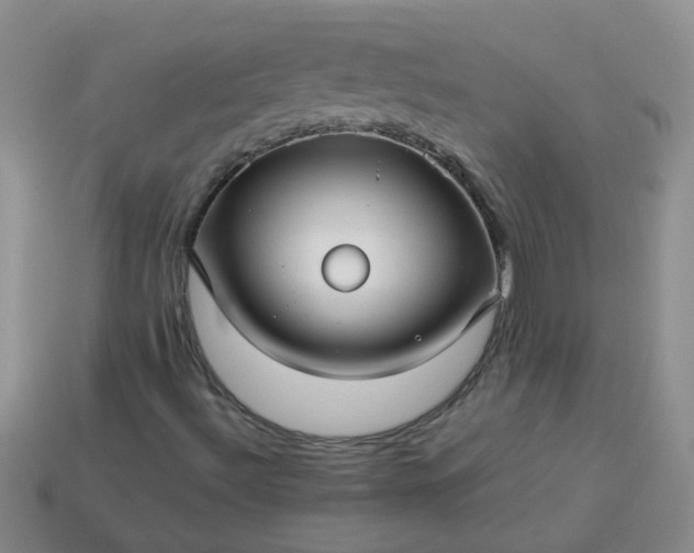 X0000114141492200910221514