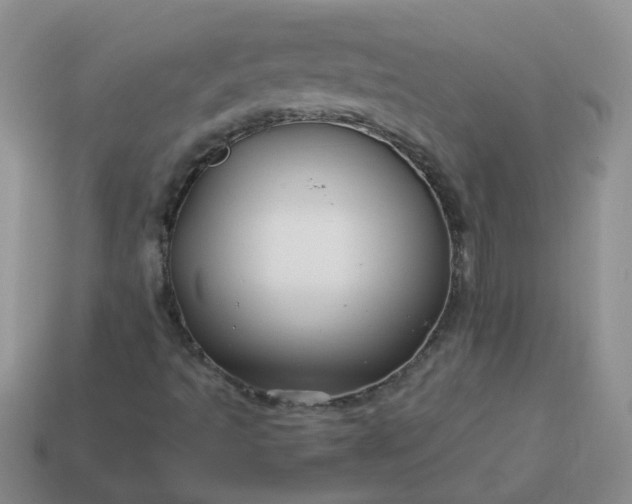 X0000114141493200910221514