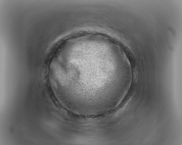 X0000114141494200910221514