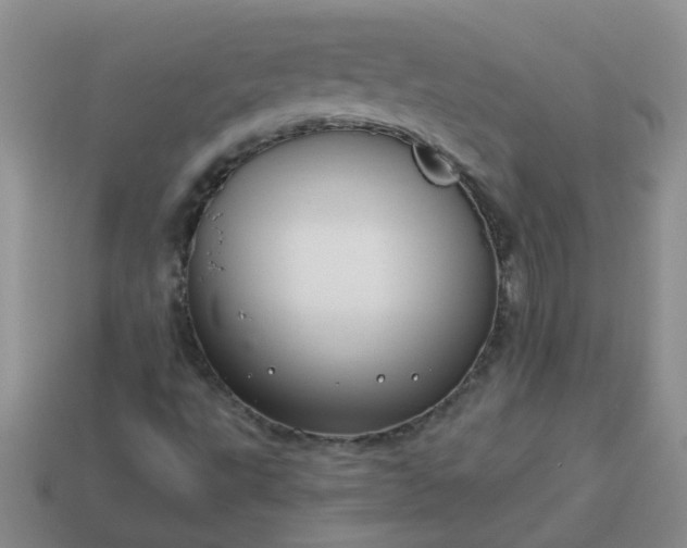 X0000114141495200910221514