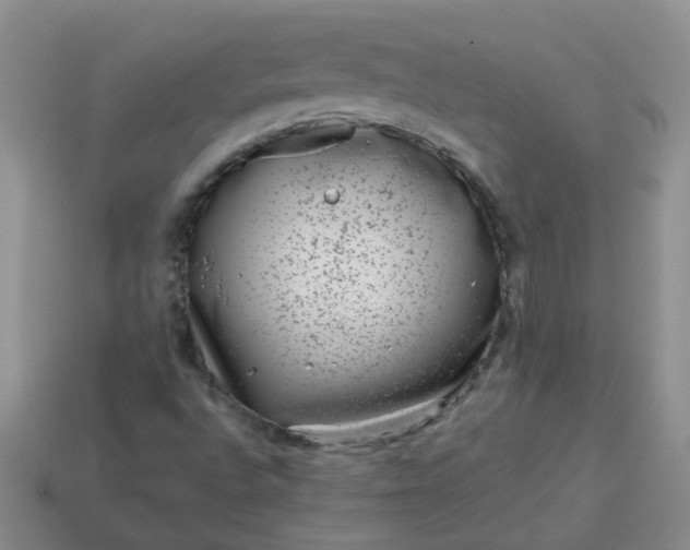 X0000114141496200910221514