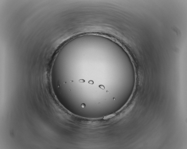 X0000114141497200910221514