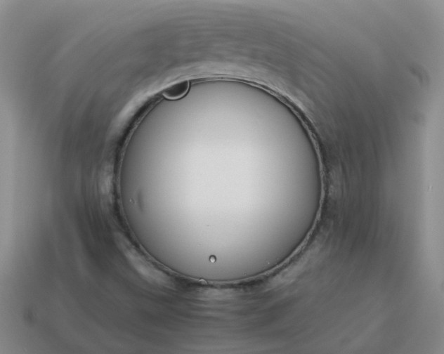 X0000114141499200910221514