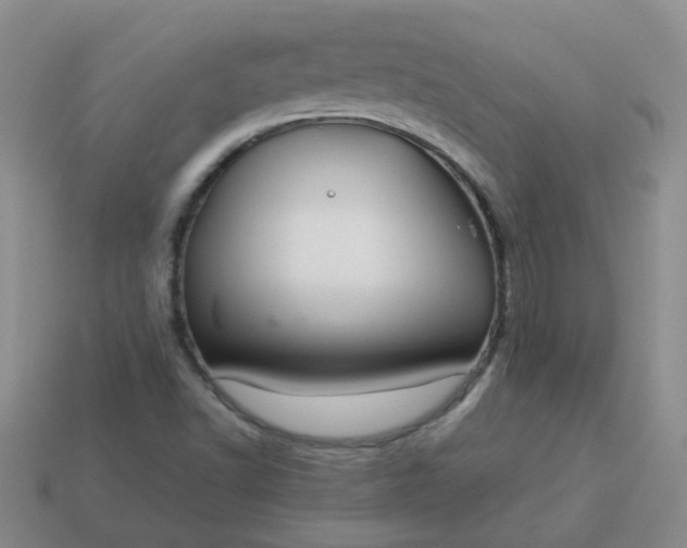 X0000114141502200910221514