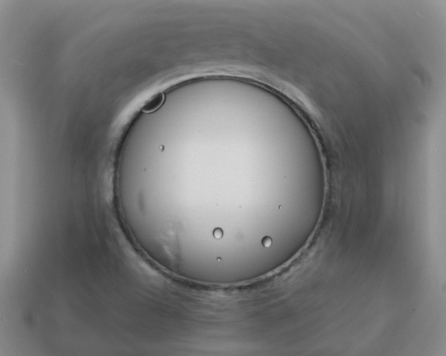 X0000114141504200910221514