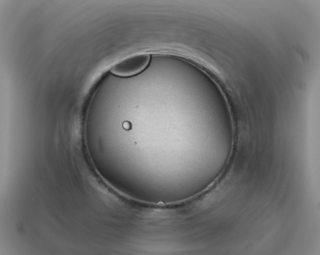 X0000114141506200910221514