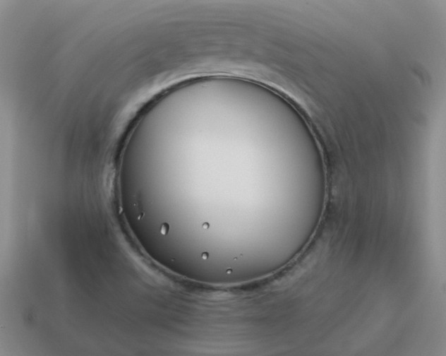 X0000114141507200910221514