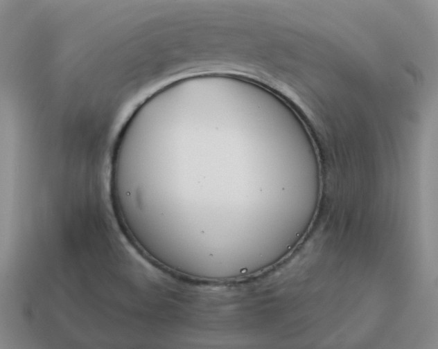 X0000114141508200910221514