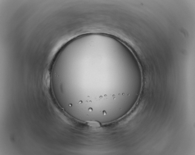 X0000114141509200910221514