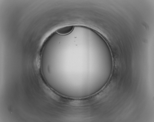 X0000114141510200910221514