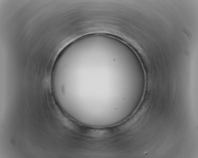 X0000114141513200910221514