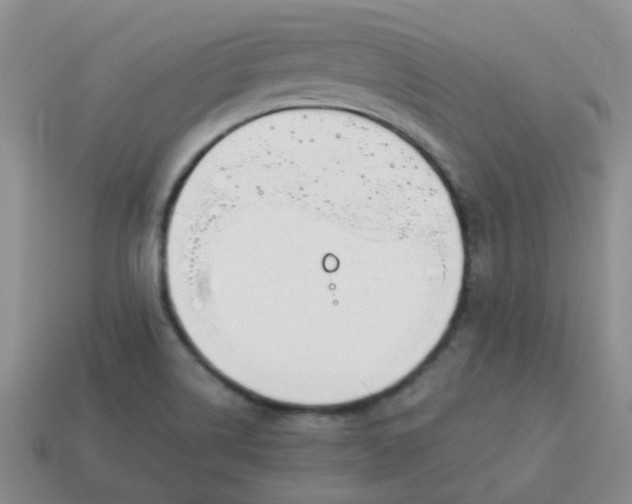 X0000114141514200910221514