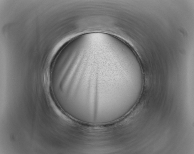 X0000114141515200910221514