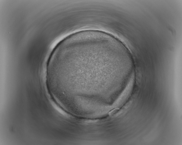 X0000114141519200910221514