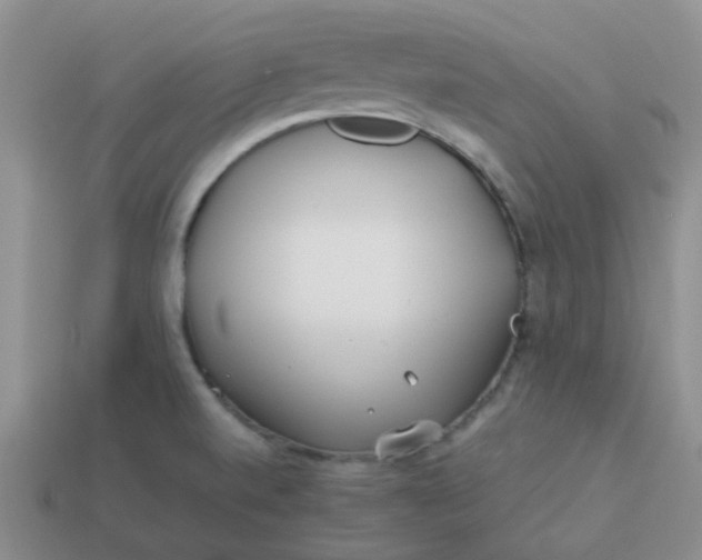 X0000114141520200910221514