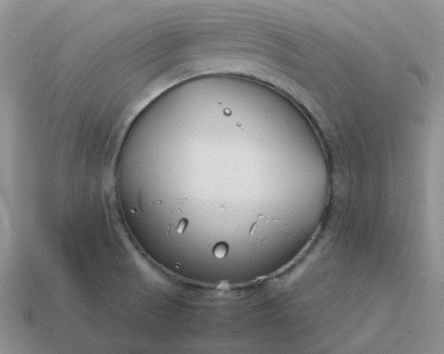 X0000114141521200910221514