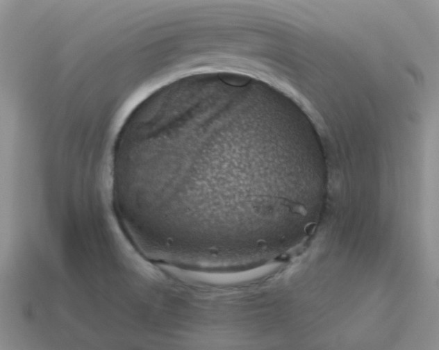 X0000114141522200910221514