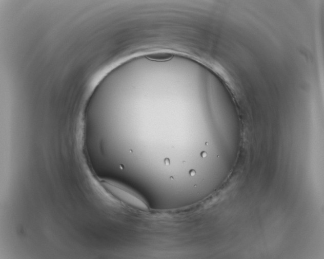 X0000114141524200910221514