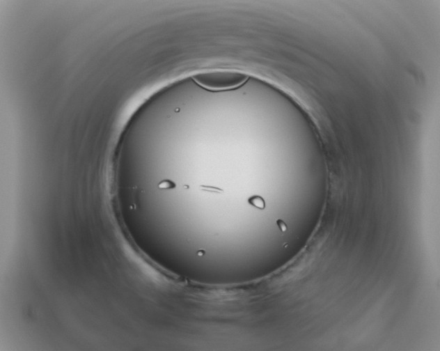 X0000114141527200910221514