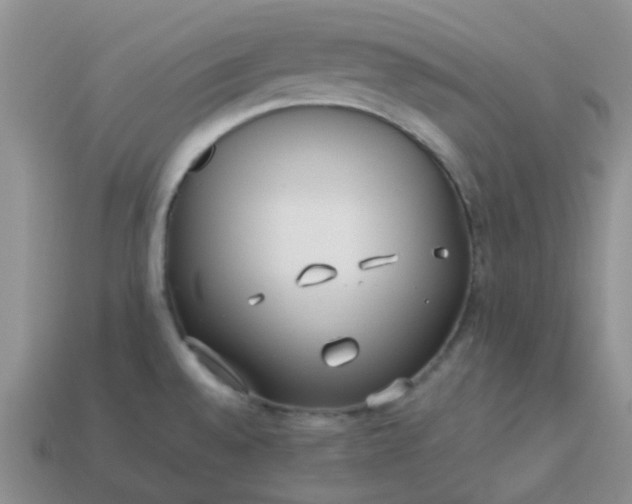 X0000114141528200910221514