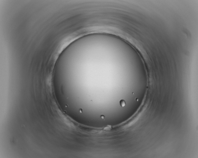 X0000114141529200910221514