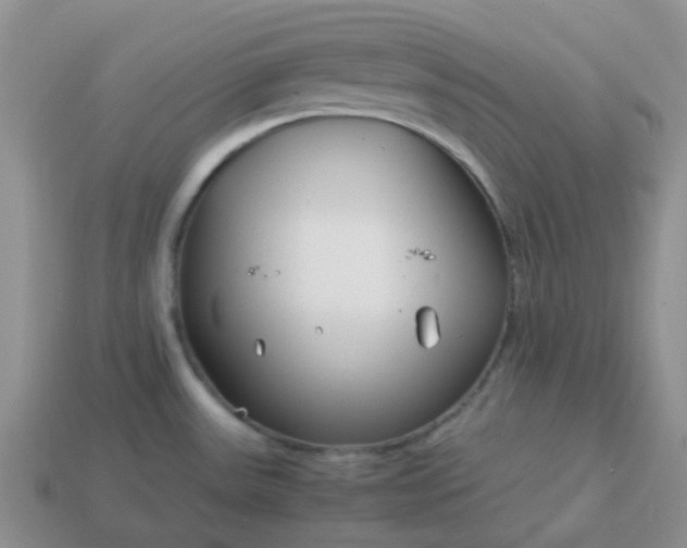 X0000114141531200910221514