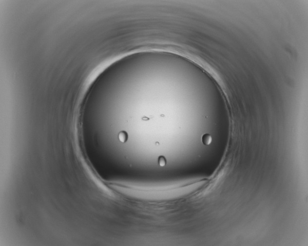 X0000114141533200910221514