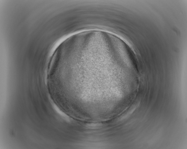 X0000114141535200910221514