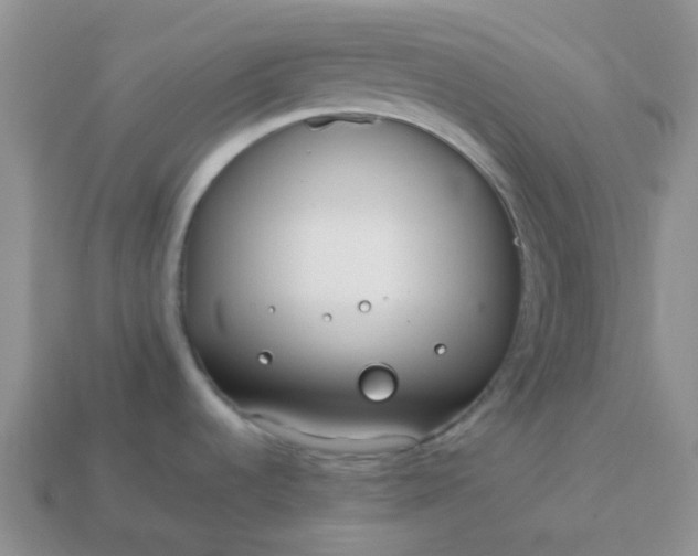 X0000114141536200910221514