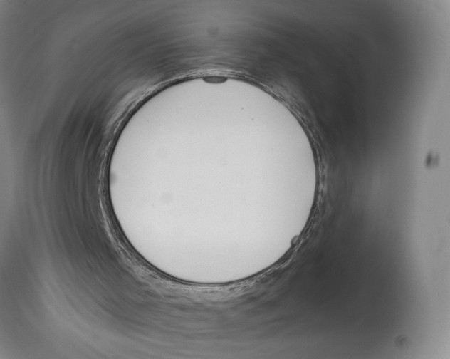 X0000114140001200911051431