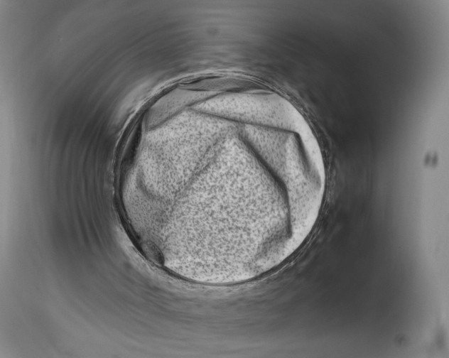 X0000114140002200911051431