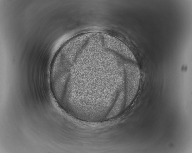 X0000114140006200911051431