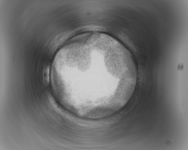 X0000114140014200911051431