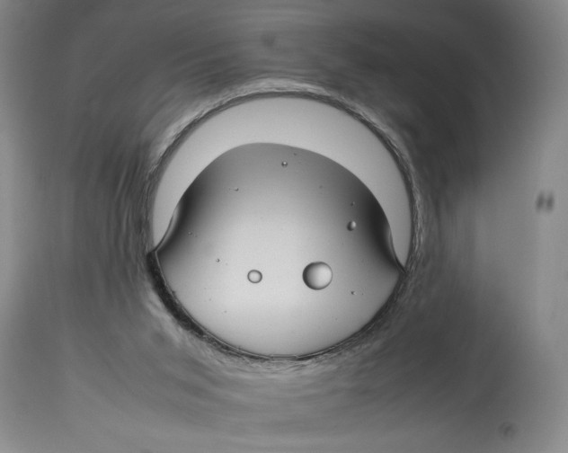 X0000114140015200911051431