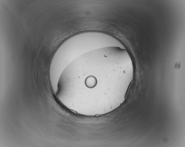 X0000114140017200911051431