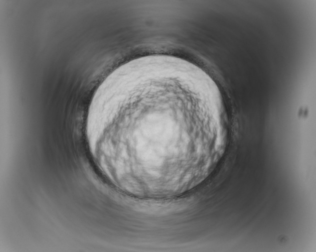 X0000114140018200911051431