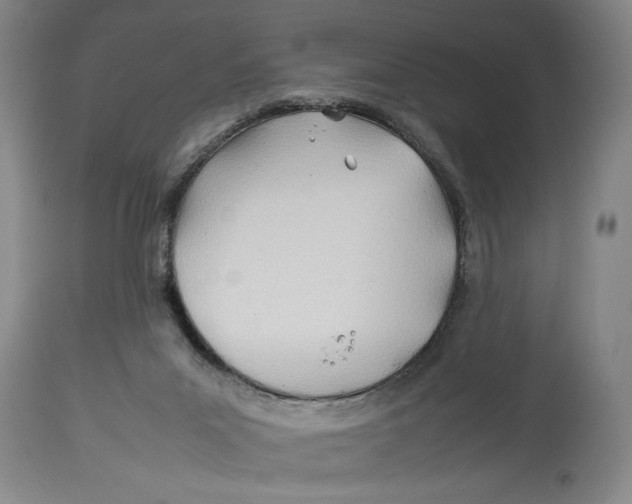 X0000114140023200911051430